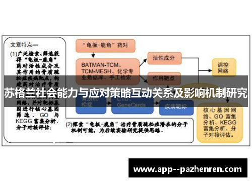 苏格兰社会能力与应对策略互动关系及影响机制研究